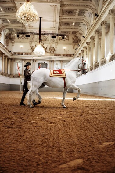 Picture 5 for Activity Performance Of The Lipizzans At Spanish Riding School