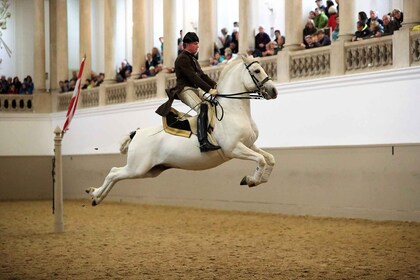 การแสดงของ Lipizzans ที่โรงเรียนสอนขี่ม้าแห่งสเปน