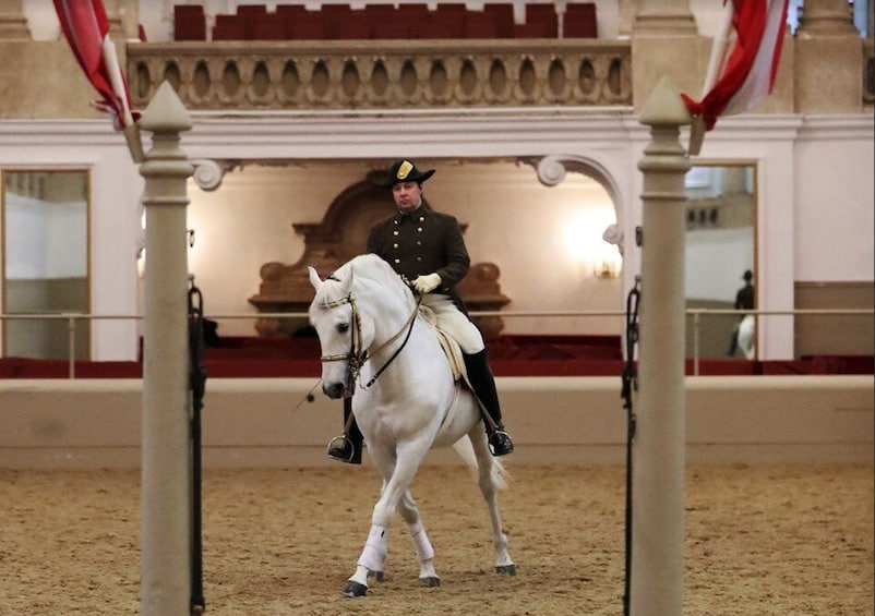 Picture 3 for Activity Performance Of The Lipizzans At Spanish Riding School