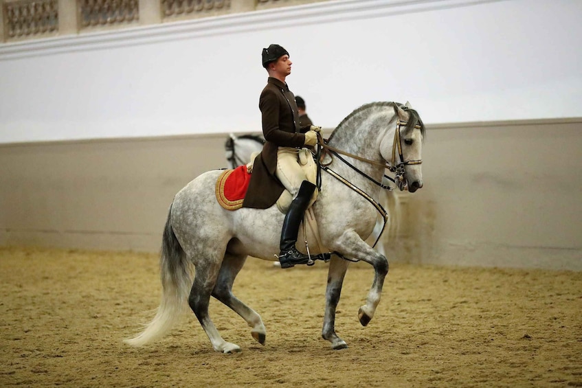 Picture 2 for Activity Performance Of The Lipizzans At Spanish Riding School