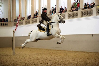 Performance des Lipizzans à l’école d’équitation espagnole