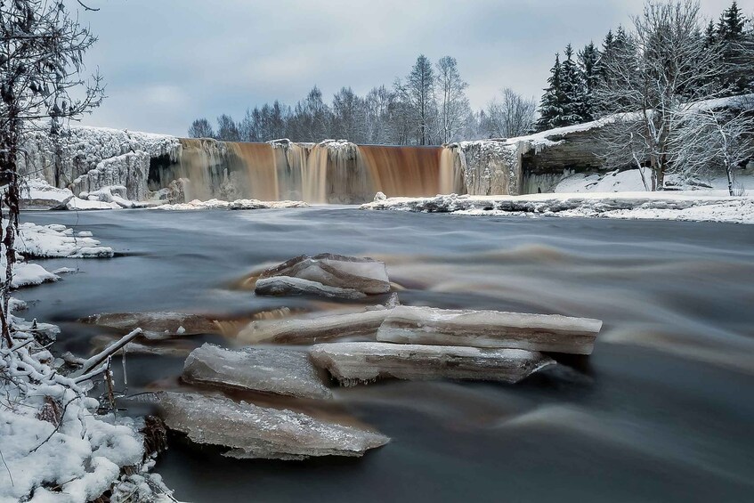 Picture 8 for Activity From Tallinn: Day Trip to Lahemaa National Park