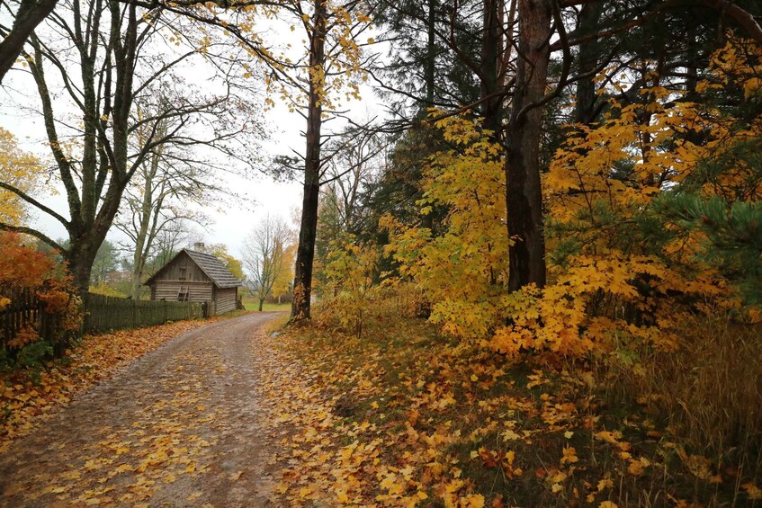 Picture 5 for Activity From Tallinn: Day Trip to Lahemaa National Park