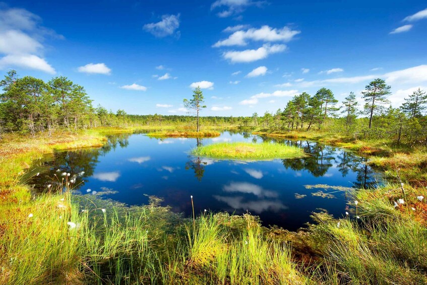 Picture 1 for Activity From Tallinn: Day Trip to Lahemaa National Park