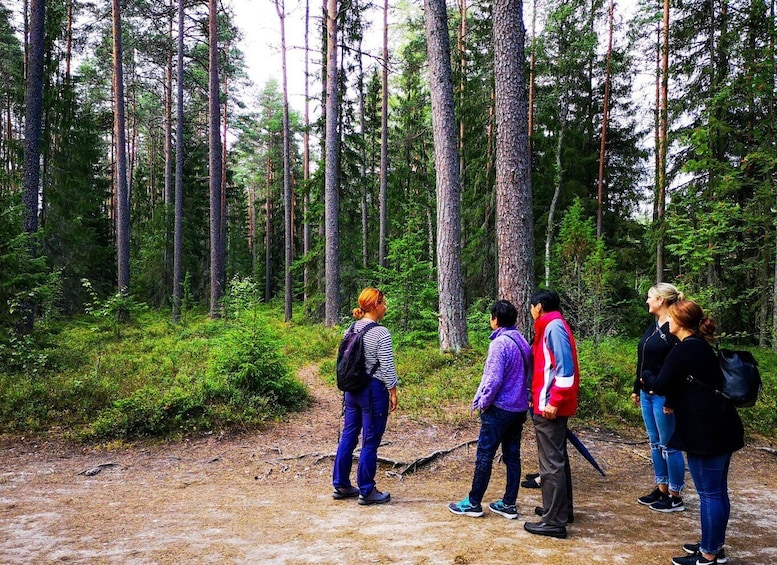 Picture 7 for Activity From Tallinn: Day Trip to Lahemaa National Park