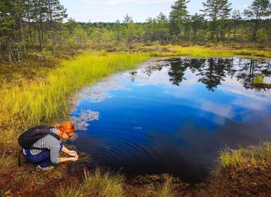 Från Tallinn: Dagsutflykt till Lahemaa nationalpark