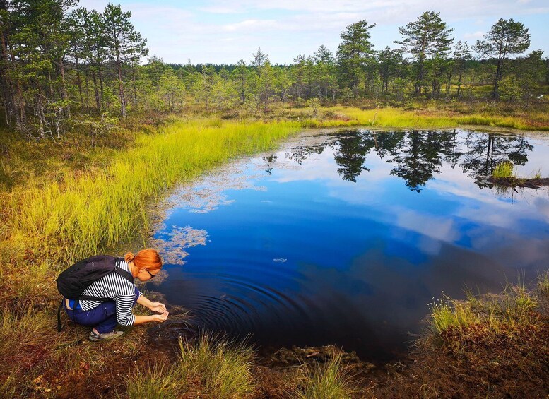 From Tallinn: Day Trip to Lahemaa National Park