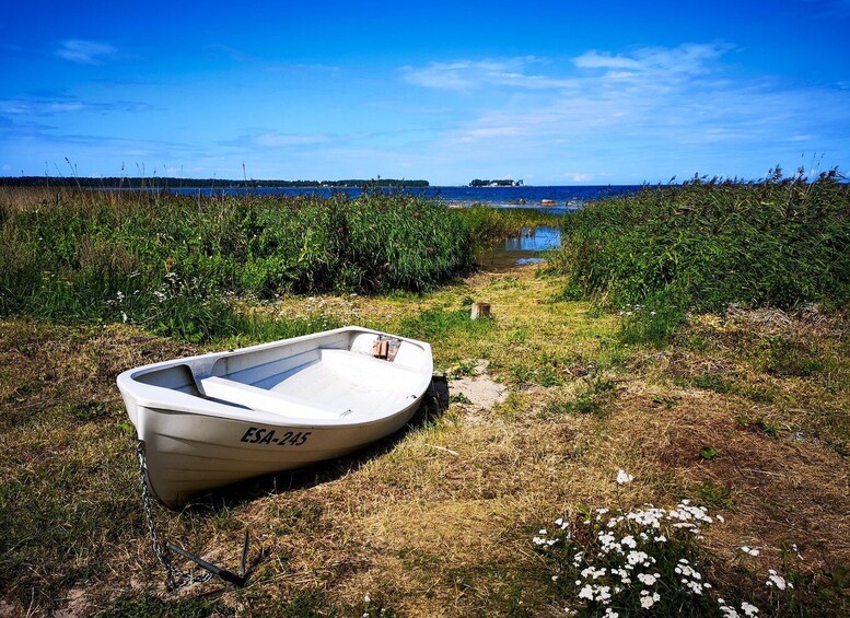 Picture 12 for Activity From Tallinn: Day Trip to Lahemaa National Park