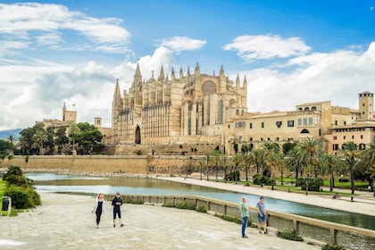 Palma: Biglietto d'ingresso per la Cattedrale di Maiorca con salto della fi...