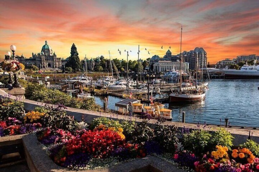 Vancouver Island 2 Days Shared Tour including 4/5 Star Hotel
