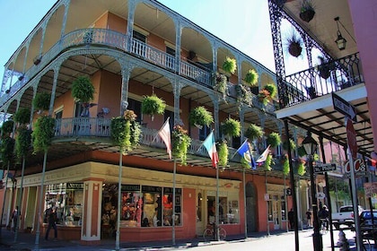 New Orleans Private City and Cemetery Tour - Up to 24 Passengers