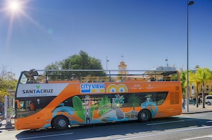Tenerife Hop-On Hop-Off Bus & Train