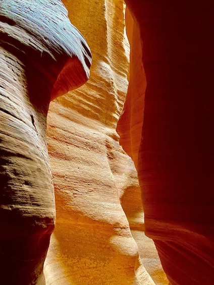 Antelope Canyon X & Horseshoe Bend Tour From Vegas with Lunch