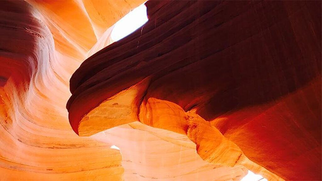 horseshoe bend bus tour
