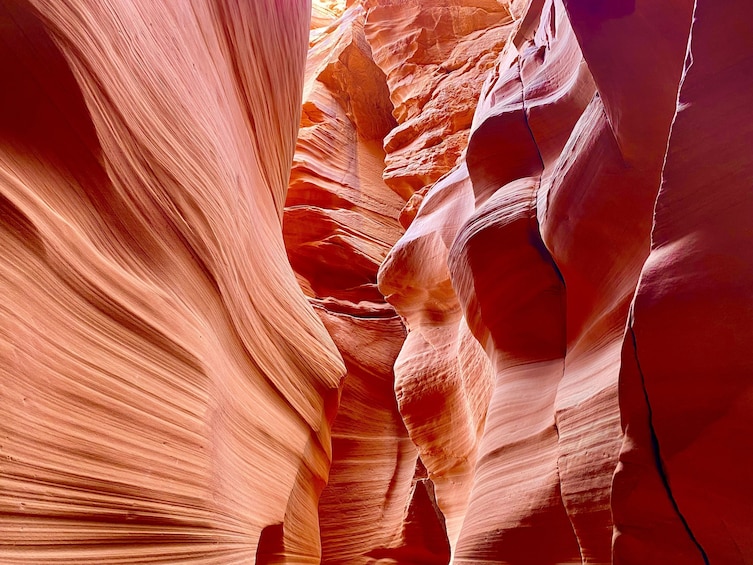 Antelope Canyon X & Horseshoe Bend Tour From Vegas with Lunch