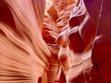 Antelope Canyon & Horseshoe Bend Tour From Vegas with Lunch