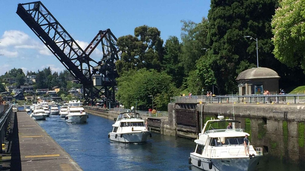 Picture 7 for Activity Seattle: 3-Hour City Highlights Tour