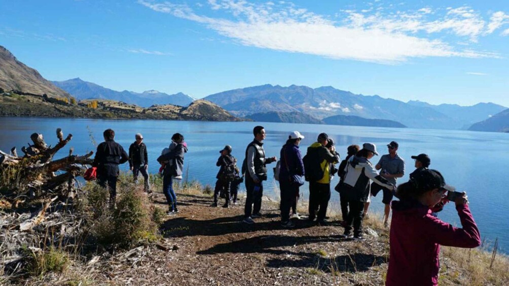 Picture 6 for Activity From Wanaka: Ruby Island 1-Hour Cruise and Photo Walk