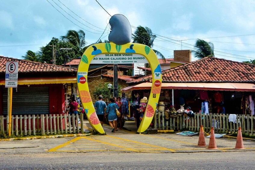 Picture 3 for Activity Natal: South Coast and Arituba Lagoon Tour