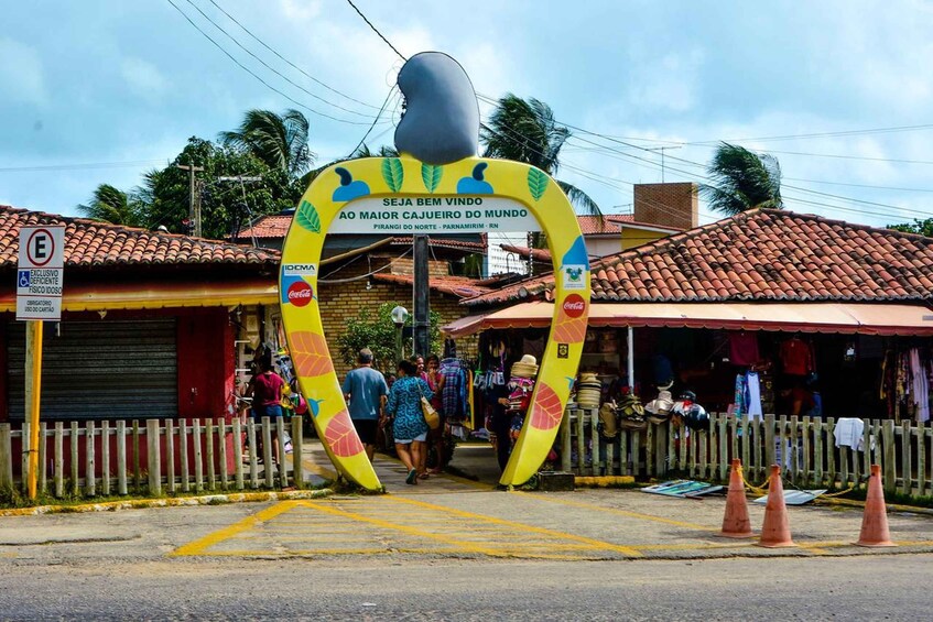 Picture 3 for Activity Natal: South Coast and Arituba Lagoon Tour