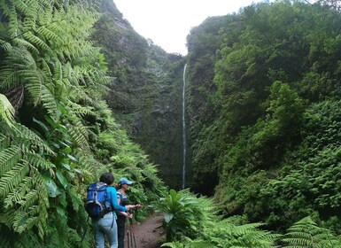Insel Madeira: Caldeirão Verde Levada Wanderung