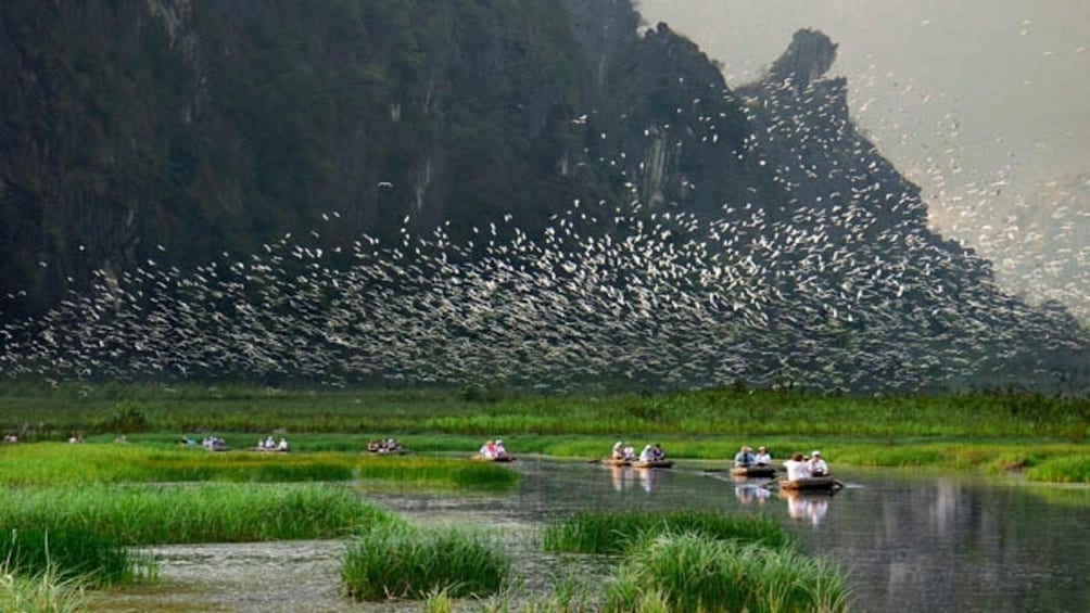 Full day Van Long Natural Reserve & Kenh Ga Floating Village