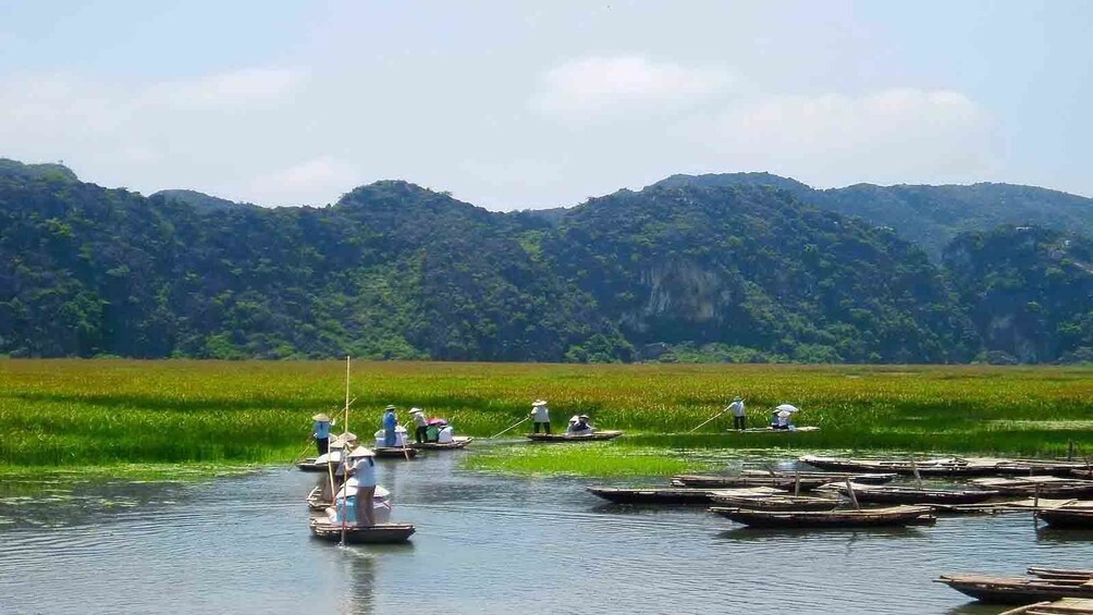 Full Day Hoa Lu Ancient Capital and Boat Trip in Tam Coc