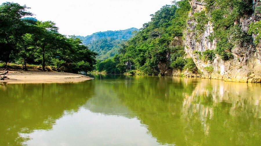 Van Long Natural Reserve