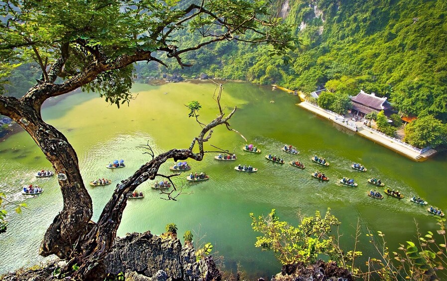 Full Day Van Long Natural Reserve and Hoa Lu Ancient Town 