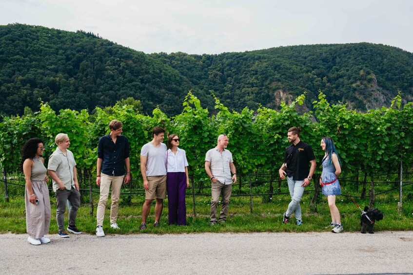 Picture 4 for Activity From Vienna: Wachau Valley Day Tour with Wine Tasting