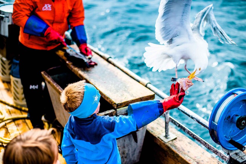 Picture 4 for Activity Lofoten: Traditional Fishing Trip
