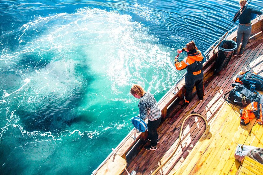 Picture 6 for Activity Lofoten: Traditional Fishing Trip
