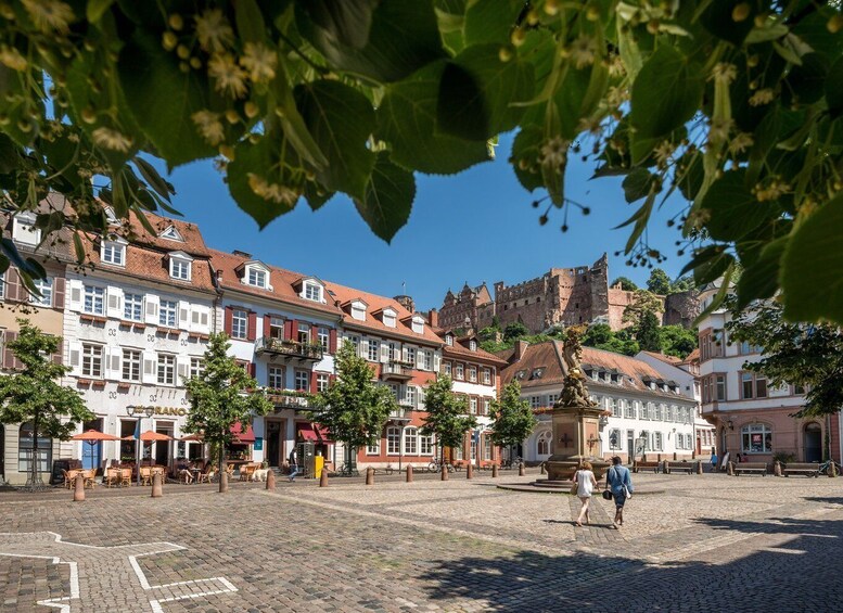 Picture 2 for Activity Heidelberg: Walking Tour of the Old Town