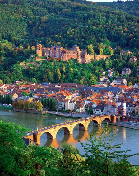 Picture 1 for Activity Heidelberg: Walking Tour of the Old Town