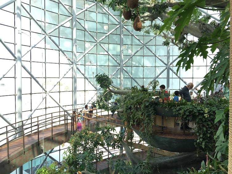 People exploring the indoor jungle at The Green Planet in Dubai