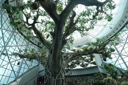 The Green Planet - Tropical Rainforest with Complementary Mono Rail Ticket