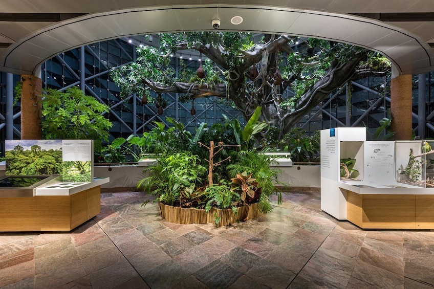 Indoor jungle at the Green Planet in Dubai