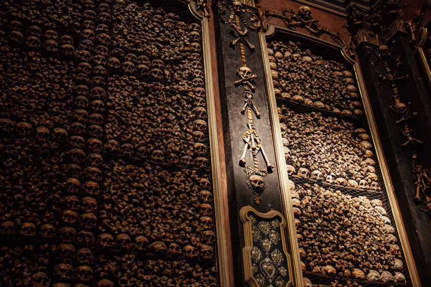 Show item 3 of 8. Skeletons in Milan