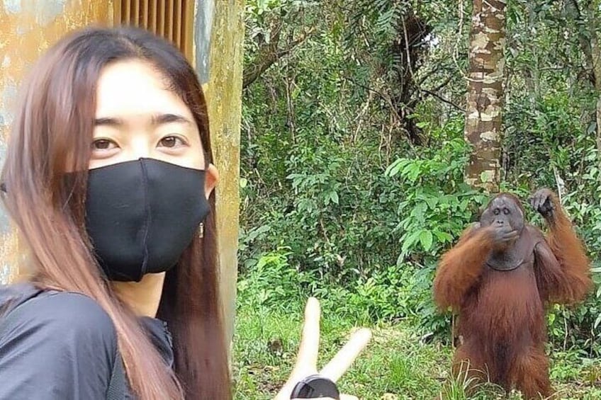 Orangutan Tour Tanjung Puting 3D2N