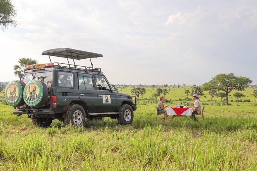 Honeymoon Safaris