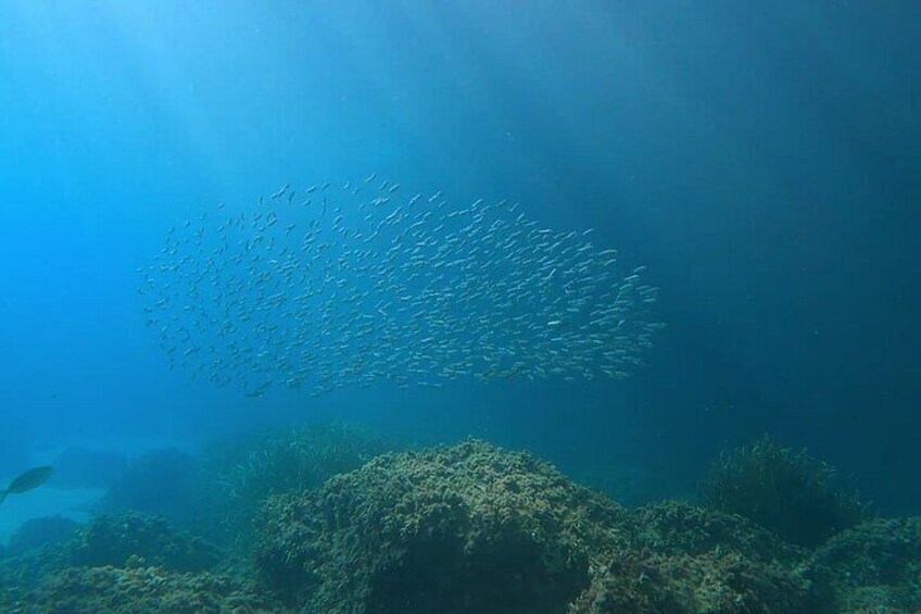Snorkeling Adventure in the Calas de Menorca