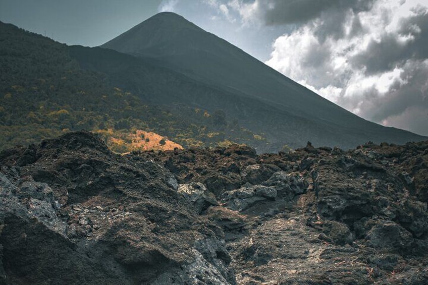 the lava field