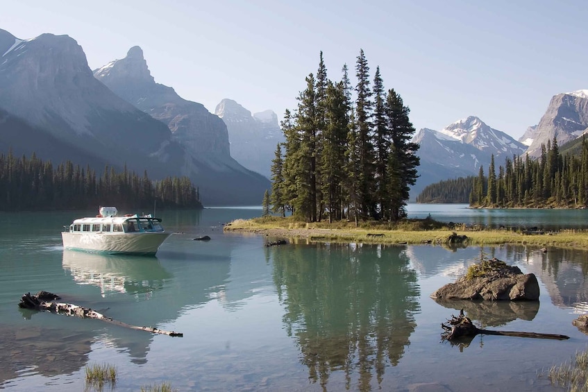 Jasper: Wildlife and Waterfalls Tour with Maligne Cruise