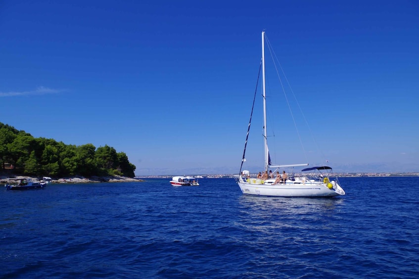 Picture 3 for Activity From Zadar: Private Half-Day Sailing Trip