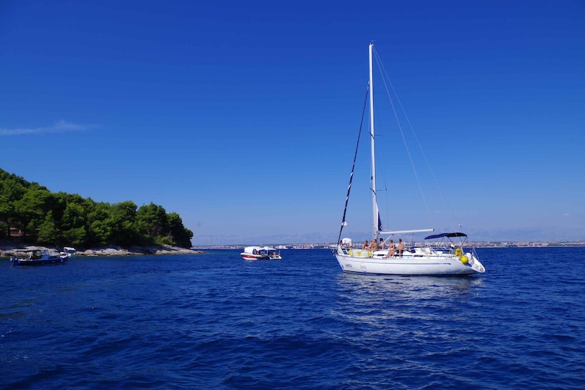 Picture 3 for Activity From Zadar: Private Half-Day Sailing Trip