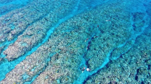 Naha, Okinawa: Half-Day Kerama Islands Snorkeling Tour