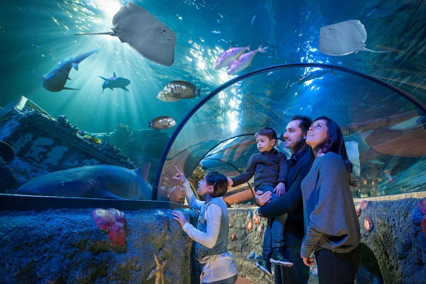 Gardaland SEA LIFE Aquarium: Open Date Skip-the-Line Ticket