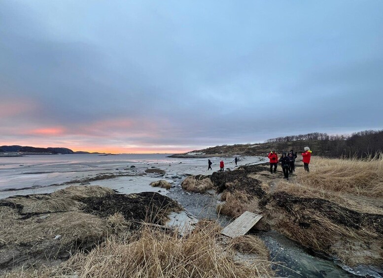Picture 6 for Activity Bodø: Arctic Coastal Walk