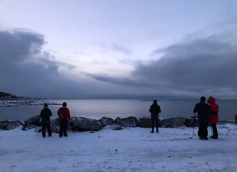 Picture 2 for Activity Bodø: Arctic Coastal Walk