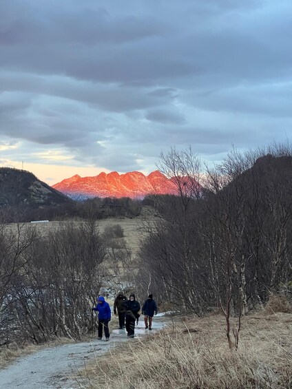 Picture 4 for Activity Bodø: Arctic Coastal Walk